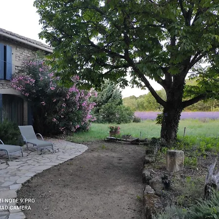La Crozette - Mas Provencal Homestay
